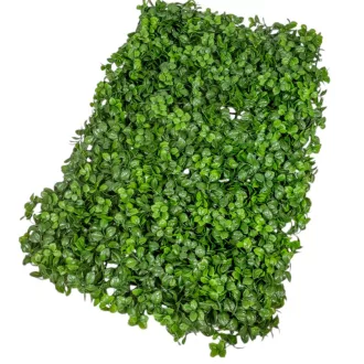 Buxus panel 40x60cm