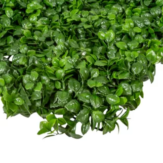 Buxus panel 40x60cm