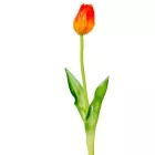 Tulipán szálas gumi mix M45cm 48db/#