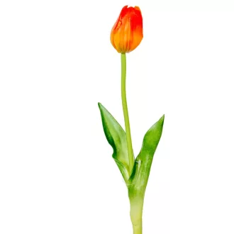 Tulipán szálas gumi mix M45cm 48db/#