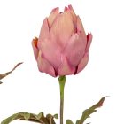 Protea szálas M37cm 48db/#