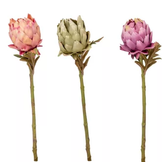 Protea szálas mix M45cm  24db/#