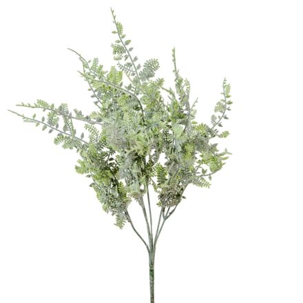 Páfrány bokor 7ágú M40cm 60db/#