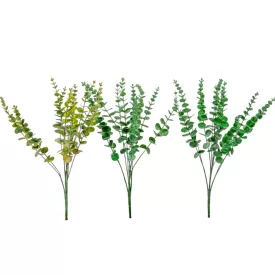 Eukaliptusz bokor hamvas 10ágú M50cm 48db/#