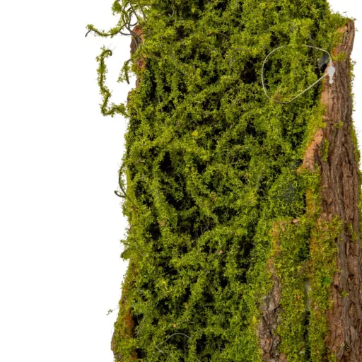 Fa kéregben moha 38cm