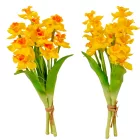 Nárcisz köteg gumi 3v. M30cm 18db/#