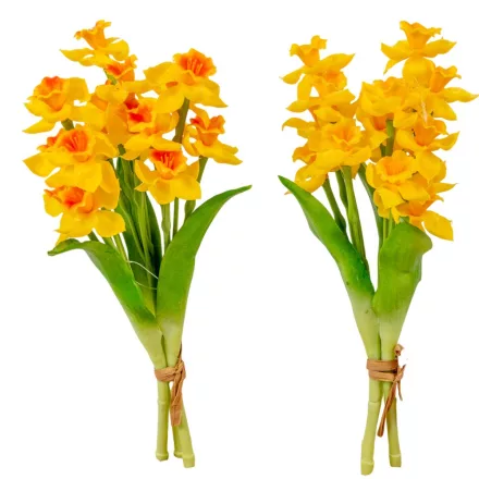 Nárcisz köteg gumi 3v. M30cm 18db/#