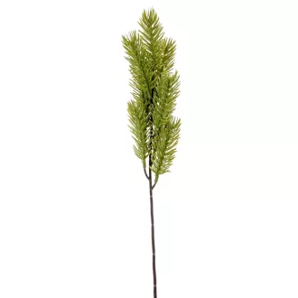 Fenyő ág M44cm