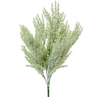 Tuja bokor hamvas 7ágú M50cm