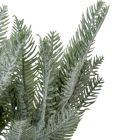 Fenyő bokorhamvas 6ágú M44cm