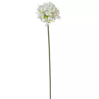 Szerelemvirág szálas krém M74cm 24db/#