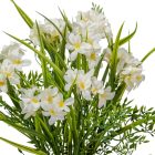 Apró virágos 12ágú krém  M42cm 12db/#