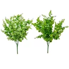 Eukaliptusz bokor 7ágú M48cm 24db/#