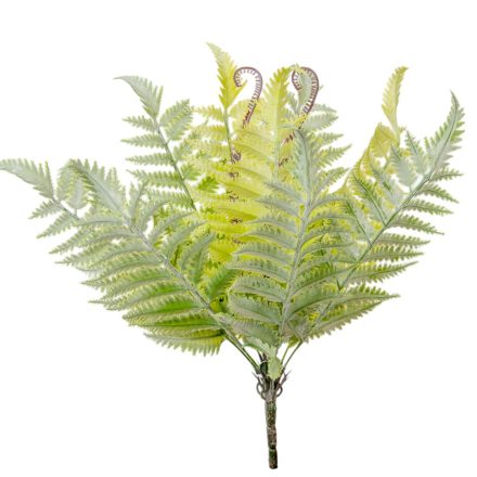 Páfrány bokor 11ágú M42cm 36db/#
