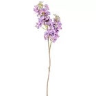 Orgona ág gumi M66cm 24db/#