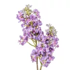 Orgona ág gumi M66cm 24db/#
