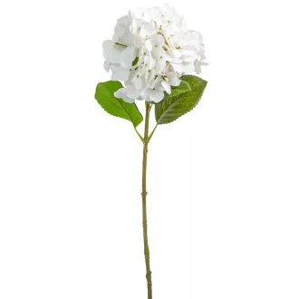 Hortenzia szálas gumi fehér M64cm 30db/#