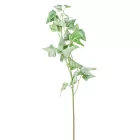 Borostyánleveles ág M95cm 12db/#