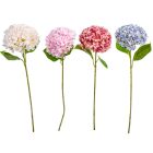 Hortenzia szálas mix M65cm 40db/#