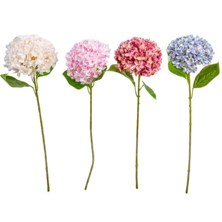 Hortenzia szálas mix M65cm 40db/#