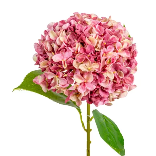 Hortenzia szálas mix M65cm 40db/#
