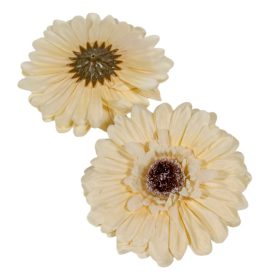 Gerbera virágfej őszi krém D12cm 12db/csom.