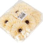 Gerbera virágfej őszi krém D12cm 12db/csom.