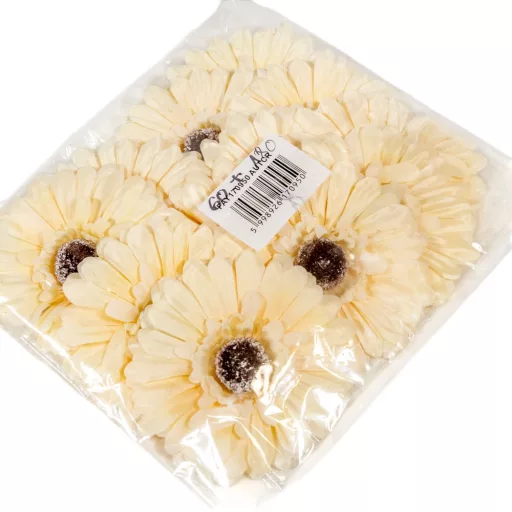 Gerbera virágfej őszi krém D12cm 12db/csom.
