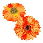 Gerbera virágfej őszi narancs D12cm 12db/csom.