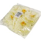 Gerbera virágfej krém D12cm 12db/csom.