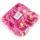 Gerbera virágfej mályva D12cm 12db/csom.