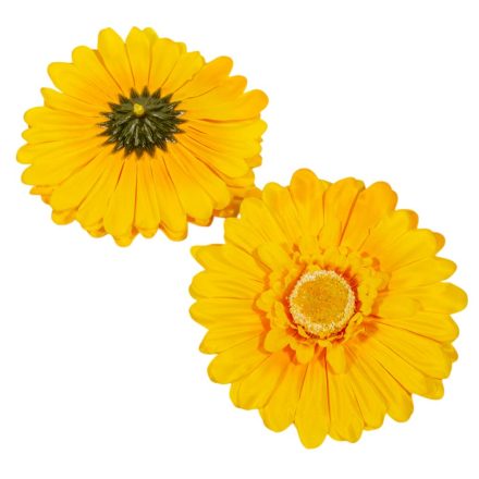 Gerbera virágfej sárga D12cm 12db/csom.
