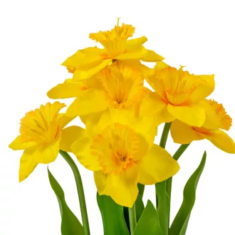 Nárciszos dísz 7v. M31cm 16db/#