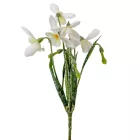 Hóvirág pick M30cm 24db/#