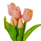 Tulipán köteg gumi 5v. M32cm 12db/#