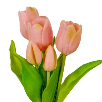 Tulipán köteg gumi 5v. M32cm 12db/#