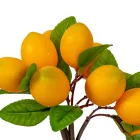 Citrom termés köteg M32cm 24db/#