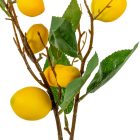 Citrom terméses ág M80cm 24db/#