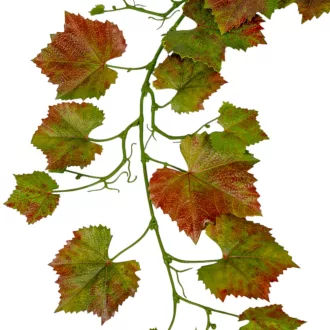 Szőlő leveles girland BR 156cm