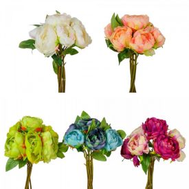 Peónia köteg 7v. mix M28cm 24db/#