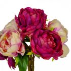 Peónia köteg 7v. mix M28cm 24db/#