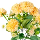 Dália csokor 10v. M39cm 48db/#