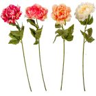 Peony szálas mix M60cm 36db/#