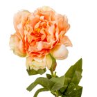 Peony szálas mix M60cm 36db/#