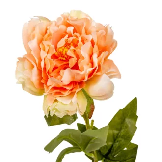 Peony szálas mix M60cm 36db/#