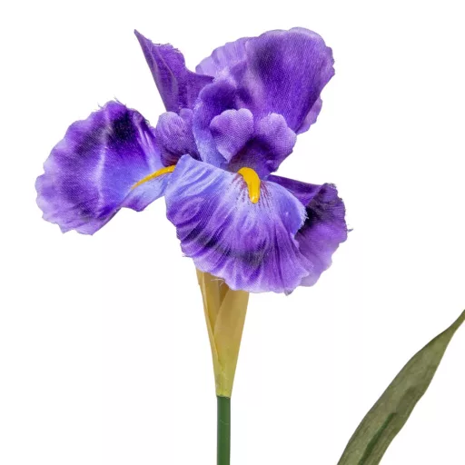 Írisz szálas M60cm 48db/#