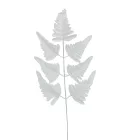 Páfrány levél fehér M50cm 12db/köteg