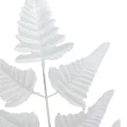 Páfrány levél fehér M50cm 12db/köteg