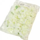 Angyalrózsa virágfej krém D6cm 24db/csom 288db/#