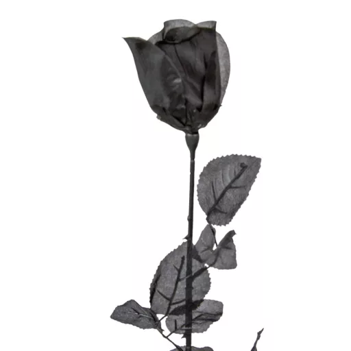 Rózsabimbó szálas fekete M75cm 36db/#